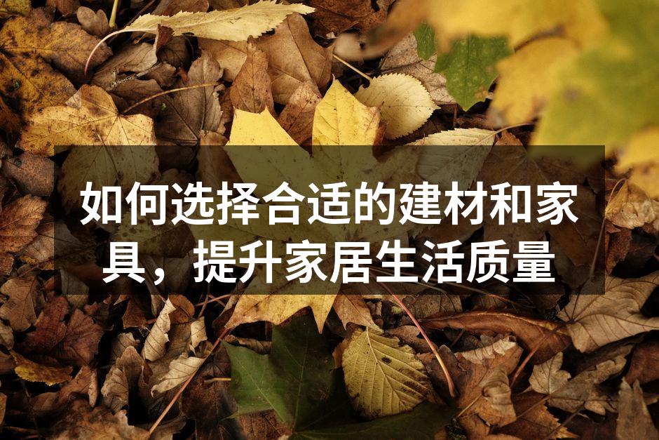 如何选择合适的建材和家具，提升家居生活质量
